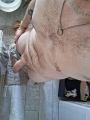 Benedit - Hetero Férfi szexpartner VIII. kerület